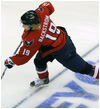 hockey pool
